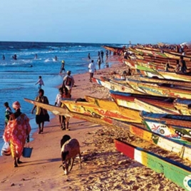 Nouvelle Aventure au Sénégal