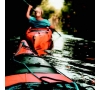 DESCENTE EN CANOE DE LA LEYRE