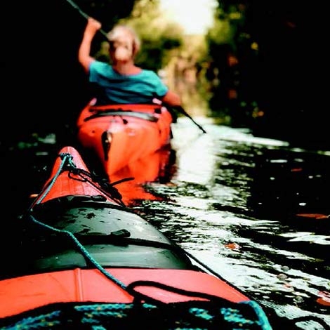 DESCENTE EN CANOE DE LA LEYRE