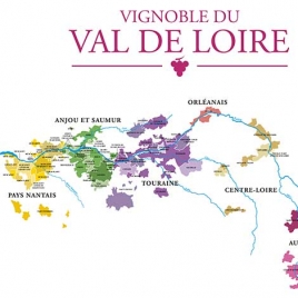 Section œnologie soirée dégustation