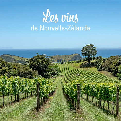 SECTION OENOLOGIE DEGUSTATION VINS NOUVELLE ZELANDE BLANCS