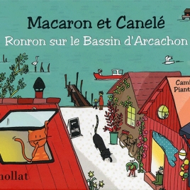 SPECTACLE MACARON ET CANELE RONRON SUR LE BASSIN