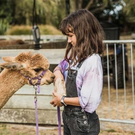 VISITE DE LA FERME DU PAS DE CERONNE