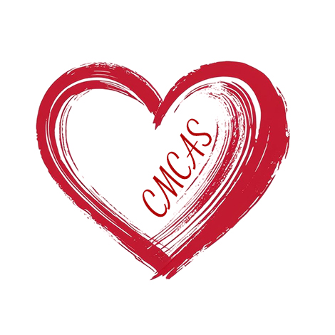 Participation financière CMCAS plus élevée